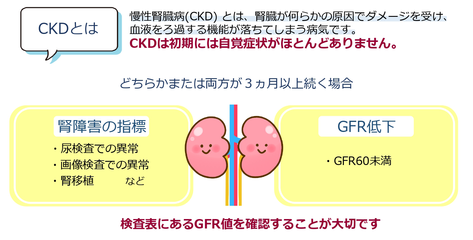 慢性腎臓病(CKD)とは、腎臓が何らかの原因でダメージを受け、血液をろ過する機能が落ちてしまう病気です。CKDには初期症状がほとんどありません。