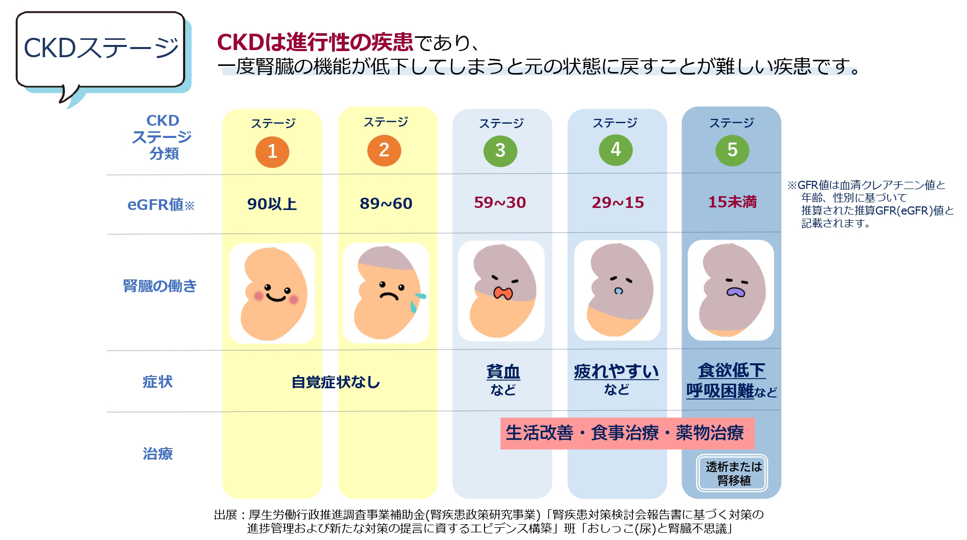 CKDは進行性の疾患であり、一度腎臓の機能が低下してしまうと元の状態に戻すことが難しい疾患です。