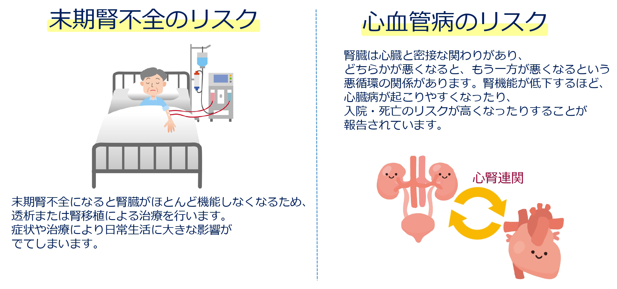 末期腎不全になると腎臓がほとんど機能しなくなるため、透析または腎移植による治療を行います。